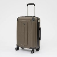 Чемодан-спиннер Francesco Molinary 197-PP1906/2-20BRW (коричневый)