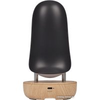 Настольная лампа JAZZway Тукан JS5-TOCO-BK (черный)