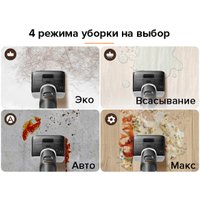 Вертикальный моющий пылесос Roborock Wet And Dry Vacuum Cleaner F25 WD5M1A (черный)