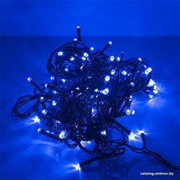 Светодиодная гирлянда Funray Рисовая RL–110B 2578 (синий)