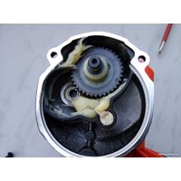 Безударная дрель Парма ДЭ-01-13/810РН 02.025.00004