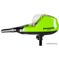 Лодочный мотор Greenworks G40TM55