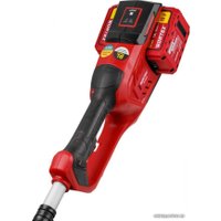 Триммер Wortex TB 3036 0333290 (без АКБ)