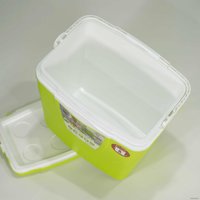 Термобокс Picnic Antarctica 32л (зеленый/киви)