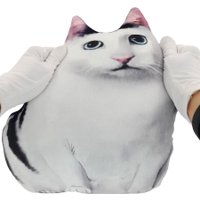 Игрушка-подушка Мальвина Бендер кот мини в Бресте