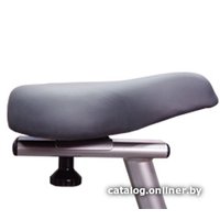 Велотренажер Oxygen Fitness Flamingo