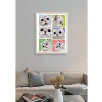 Картина по номерам PaintLine Эмоции белого котика PL-00310