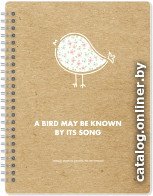 Общая тетрадь InFolio Bird N1200 (96л, клеткакоричневыйбелый)