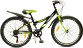 Discovery 24VS DIS24V11GN
