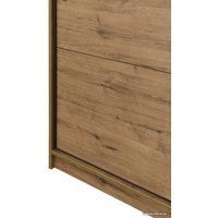 Шкаф-купе Рэйгрупп Bromo VVH 03 РГ-11.03 B 140 VVH 140x220.5 (дуб велингтон/черный)