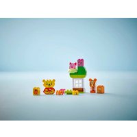 Конструктор LEGO Duplo Disney День Рождения 10457