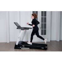 Электрическая беговая дорожка Orlauf Larus (серый)