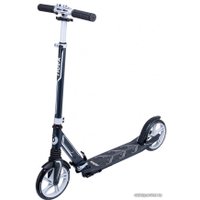 Двухколесный подростковый самокат Ridex Phenom (серый)