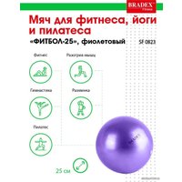 Гимнастический мяч Bradex Фитбол-25 SF 0823 (фиолетовый)