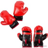 Детский набор для бокса Darvish SR-T-3294