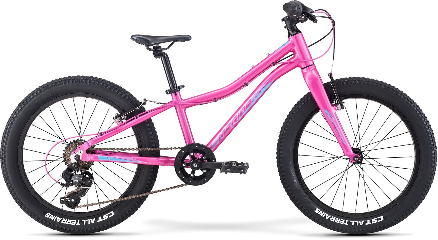 Детский велосипед Merida Matts J20+ Eco 2021 (розовый)