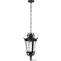 Уличный подвесной светильник LOFT IT Verona 100003P