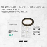 Варочная панель ZorG BLC FDW BL