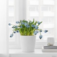 Кашпо Ikea Мускот 303.781.90 (белый)