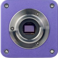 Микроскоп Magus Lum D400L 83018