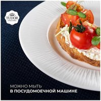 Тарелка обеденная Tudor England TU2998-1