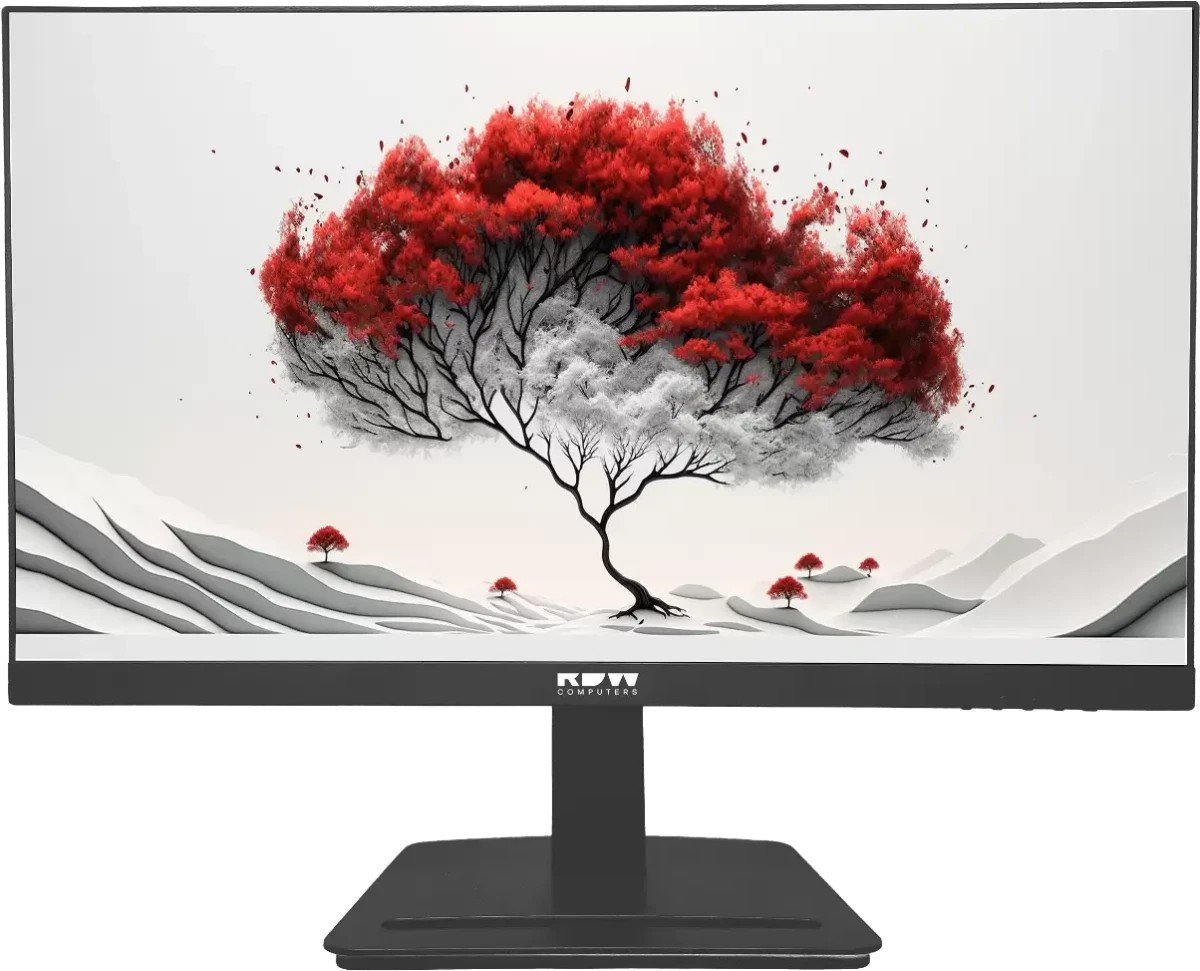 Монитор RDW Computers 2401K/F08B3100V3A1H