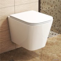 Унитаз подвесной OWL 1975 Vatter Ruta H mini Slim с сиденьем DP микролифт OWLT190403S