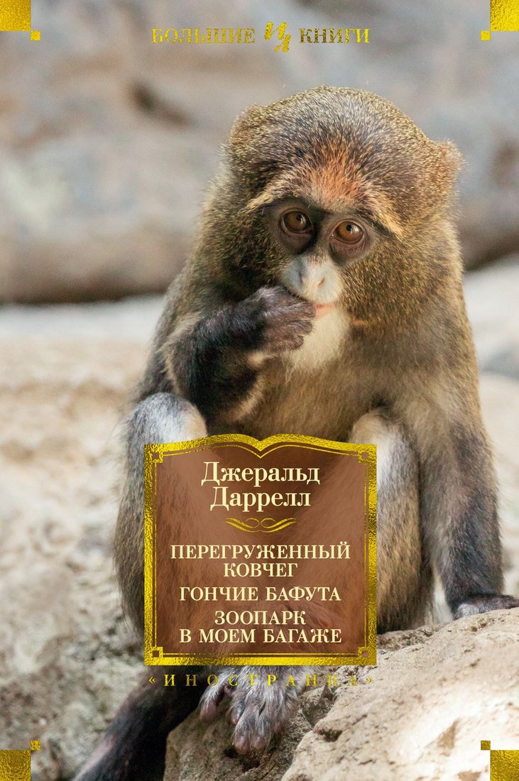 

Книга издательства Иностранка. Перегруженный ковчег. Гончие Бафута. Зоопарк в моем багаже (Даррелл Дж.)