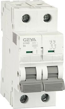 

Выключатель автоматический GEYA GYM9-2P-6B 2P 6A B 6kA 2M GYM92P6B