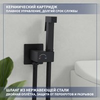 Гигиенический душ Lauter Rainix 21LT7712BM