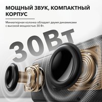 Беспроводная колонка Anker Soundcore Motion 300 (черный)