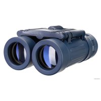 Бинокль Discovery Discovery Basics BB 8x21 79652
