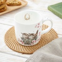 Кружка Royal Worcester Designs Feather Your Nest MMQU5629-XS