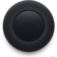 Умная колонка Apple HomePod 2 (полуночный)