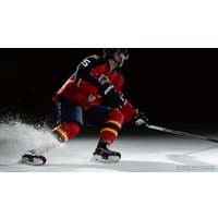 Коньки BAUER VAPOR 1X SR