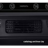 Электрическая беговая дорожка Bronze Gym T1000M Pro Turbo в Витебске