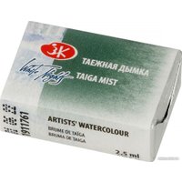 Акварельная краска Белые ночи 1911761 (2.5 мл, таежная дымка)