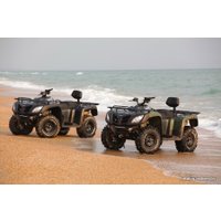 Квадроцикл Stels ATV 600GT EFI