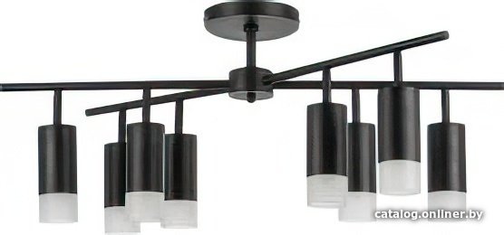 Люстра средней высоты Lightstar Rullo LR7283781