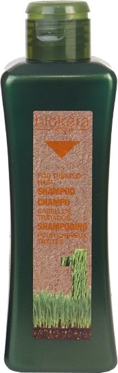 

Шампунь Salerm Cosmetics Шампунь для поврежденных волос Champu cabellos tratados 300 мл