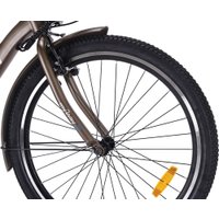 Электровелосипед MyWay Let 1.0 250 26 Pro (титан матовый)