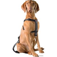 Ремень безопасности для авто D&D Home 313/419229 (L, 70-90 см)