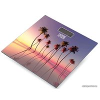 Напольные весы HomeStar HS-6001S в Борисове