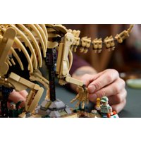 Конструктор LEGO Jurassic World 77985 Окаменелости динозавров: Трицератопс