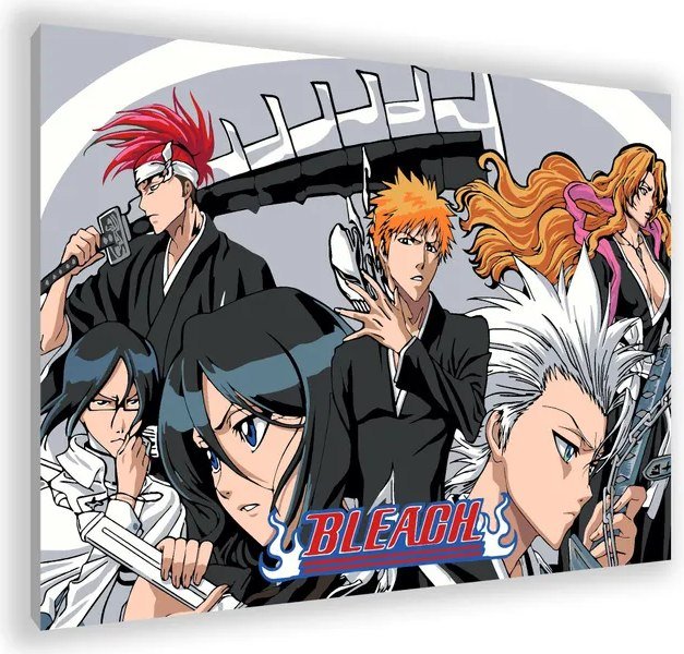 

Картина по номерам PaintLine Блич PL-00149