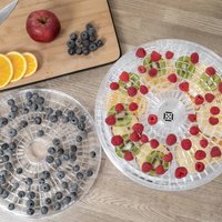 Сушилка для овощей и фруктов First FA-5126-8