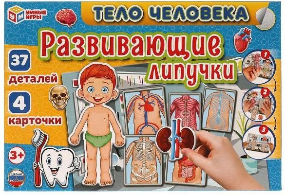 

Развивающая игра Умные игры Тело человека 4680107930538