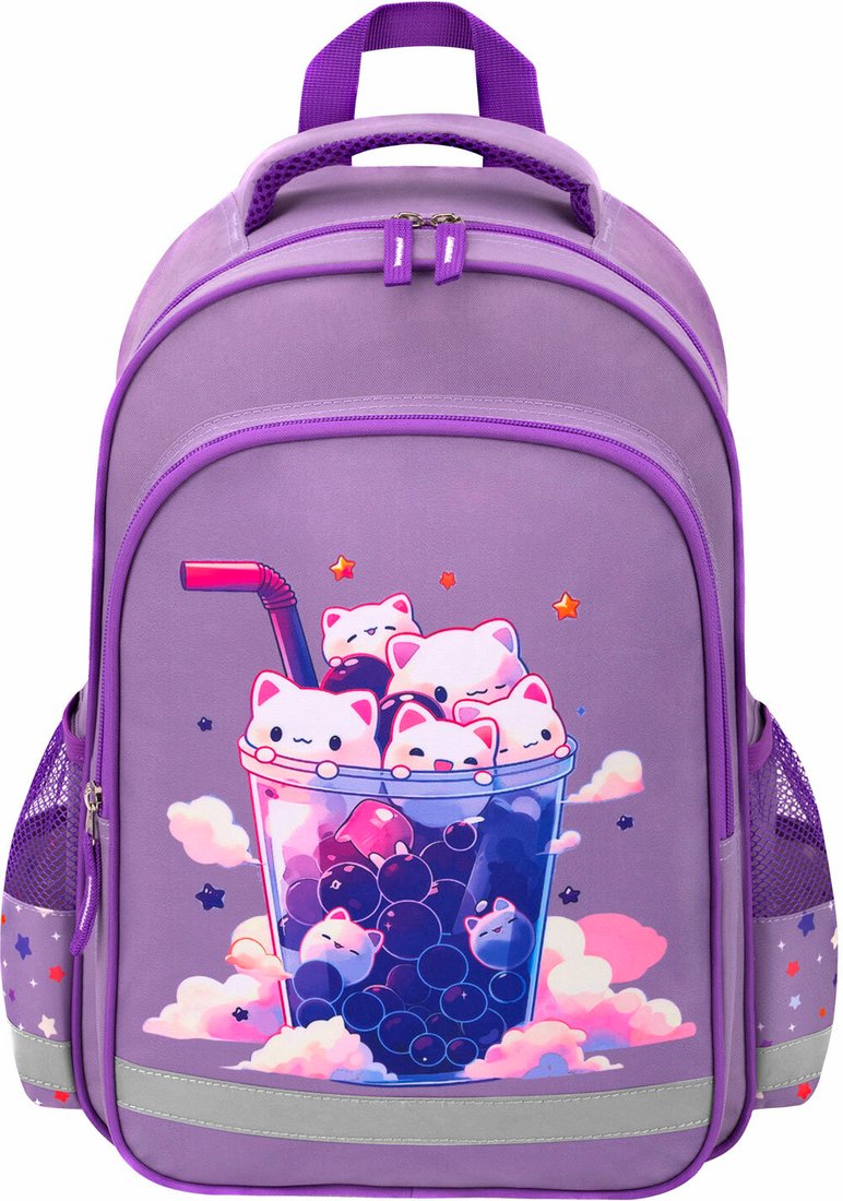 

Школьный рюкзак Пифагор School. Bubble Tea 273164