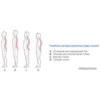 Корректор осанки Польза 0506 (р.7, черный)