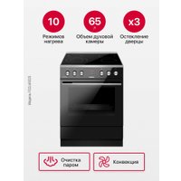 Кухонная плита Hansa FCCL69225